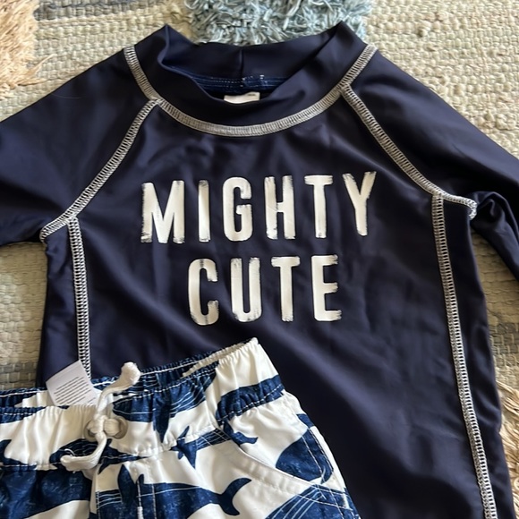 Carters 9mo Bathing Suit Set - Picture 3 of 3